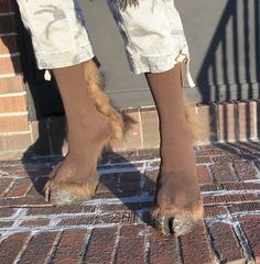 a person standing on the sidewalk with their feet in the air while wearing ripped jeans