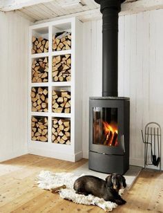 a dog laying on the floor in front of a wood burning stove