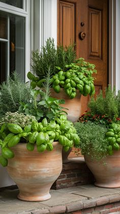 three large pots filled with green plants on the steps