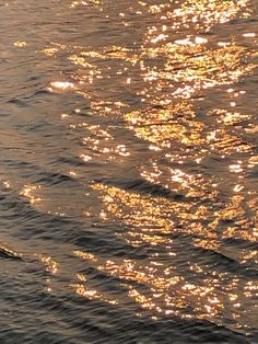 a person riding a surfboard on top of a body of water in the sun