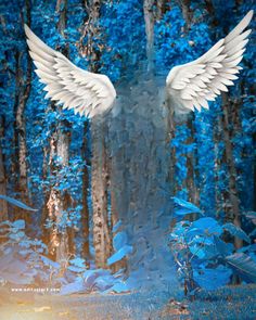 two white wings are flying in the air over blue trees and grass, with sunlight streaming through them