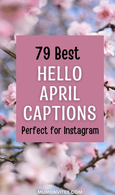 pink flowers with the words 79 best hello apri captions perfect for instagram