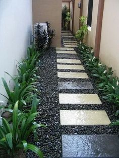 the walkway is lined with stones and plants