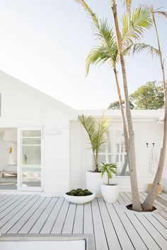 a white house with two palm trees in the front and one tree on the other side