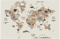 the world map with animals on it