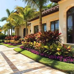 a house with landscaping and palm trees in the front yard, along side it is a walkway that leads to another home