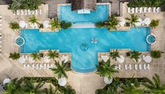 an aerial view of a resort pool with chairs, umbrellas and trees around it