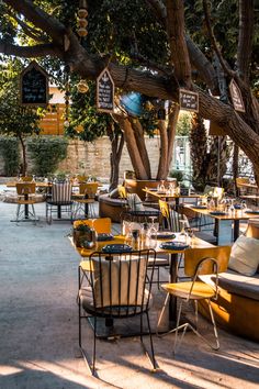 tables and chairs are set up outside under the shade of trees in an outdoor dining area