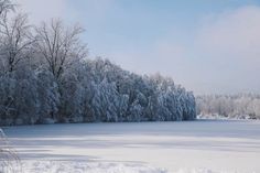 snow covered trees line the edge of a frozen lake