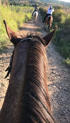 two people riding horses down a dirt road next to grass and bushes in the distance