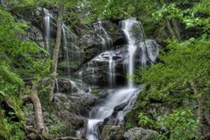 a waterfall in the woods surrounded by trees