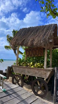 a wooden cart filled with coconuts on top of a beach