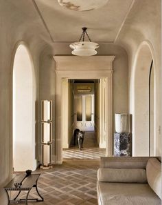 a dog is standing in the middle of a hallway between two archways and a couch