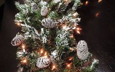 a small christmas tree with pine cones and lights