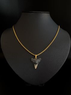 Design your own Bull Shark Fossil necklace. Choose the length and style of a necklace you like the most.  Once in the mouth of a prehistoric apex predator roaming the seas, this tooth spent the past few millions of years hidden on the bottom of the ocean floor, waiting for its time to shine again. Imagine the stories it could tell, the power it holds. This is an ancient fossil BULL shark tooth, carefully chosen and hand-made into a premium necklace of your own choosing. Find the style and length Shark Tooth Jewelry, Shark Tooth Necklace Gold, Shark Teeth Jewelry, Fossil Necklace, Tooth Jewelry, Bull Shark, Shark Necklace, Bottom Of The Ocean, Shark Tooth Necklace