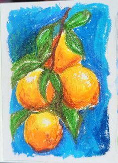 a drawing of some oranges on a tree branch