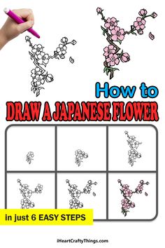 how to draw a japanese flower in just 6 easy steps with pictures and instructions for beginners