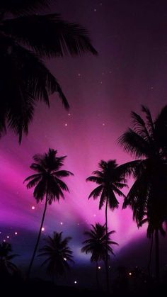 palm trees are silhouetted against an aurora - colored sky with stars and lightening in the background