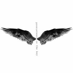 two black and white wings with the words between them