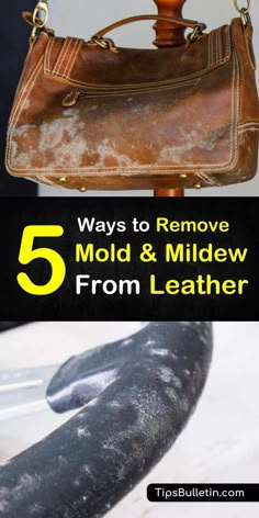 the top five ways to remove mold & mildew from leather bags and purses