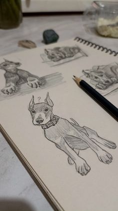 doberman's puppy Market Art Drawing, Drawings Of Puppies, St Bernard Drawing, Dog Drawing Sketches, Sketching Dogs, Drawing Doberman