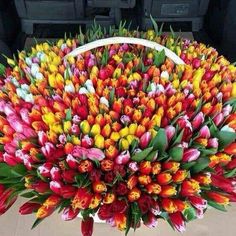 a basket filled with lots of colorful tulips