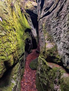 a narrow path between two large rocks covered in moss