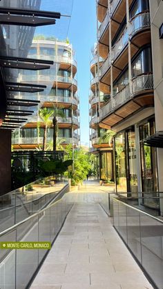 an empty walkway between two buildings with balconies on each side and palm trees in the background