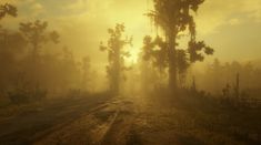 a dirt road surrounded by trees and fog