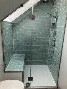 a bathroom with a toilet, shower and skylight in the ceiling area is shown