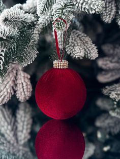 a red ornament hanging from a christmas tree