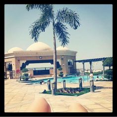 a palm tree sitting in front of a swimming pool next to a large white dome