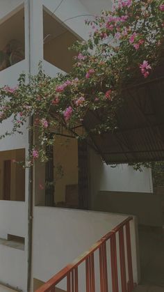 pink flowers are growing on the outside of a white building with an open door and balcony