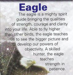 an eagle is shown with the caption for its purpose in this poem about eagles