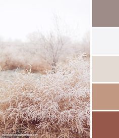 the color scheme is brown, beige and white with lots of snow on it's branches