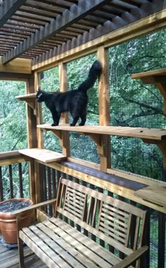 a black cat standing on top of a wooden shelf next to a bench and potted plant