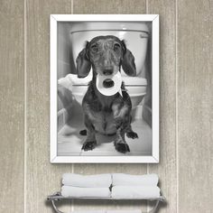 a black and white photo of a dog with a roll of toilet paper in its mouth