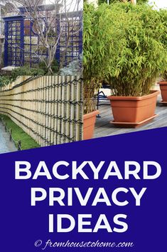 backyard privacy ideas that are easy to do and great for small gardens, fences or trees