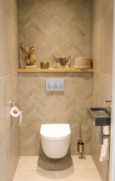 a bathroom with a toilet, sink and shelves