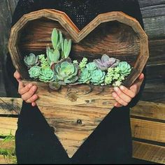 a person holding a heart shaped planter with succulents in it's hands