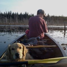 a man and his dog are in a canoe