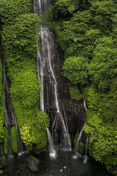 two people are swimming in the water near a waterfall with lush green vegetation on both sides