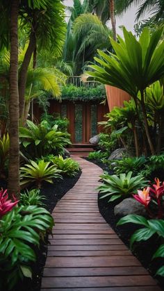 a wooden walkway surrounded by tropical plants and trees