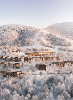 an aerial view of snow covered trees and buildings