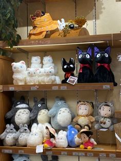 many stuffed animals are on shelves in a store