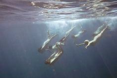 three people swimming in the ocean with their backs turned to the camera and arms outstretched