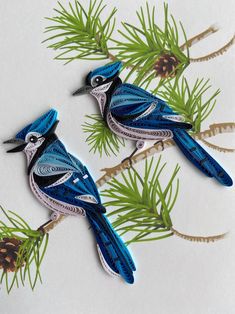 two blue birds sitting on top of a tree branch next to pine cones and needles