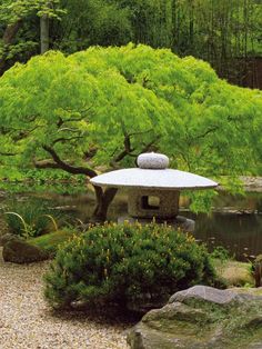 a japanese garden with rocks and trees