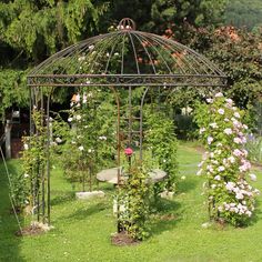 an outdoor garden with flowers and plants in it