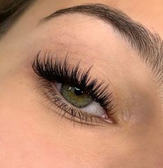 Lash Ideas, Professional Eyelash Extensions